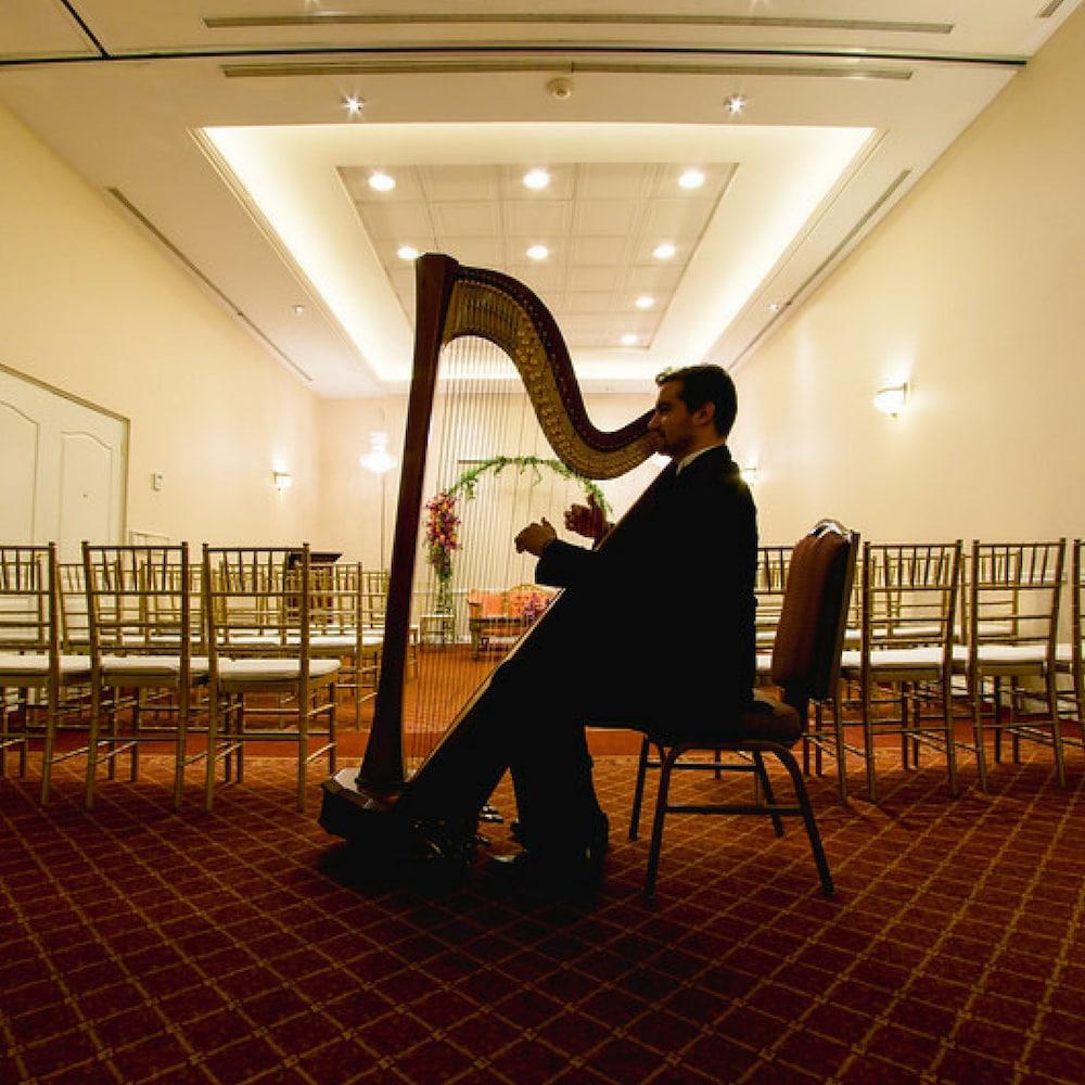 Safi Royal Luxury Valle San Pedro Garza Garcia Luaran gambar Harpist at a wedding