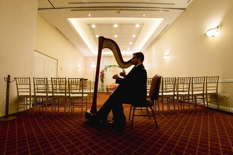 Safi Royal Luxury Valle San Pedro Garza Garcia Luaran gambar A harpist playing at a wedding